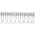0.2mL PCR管