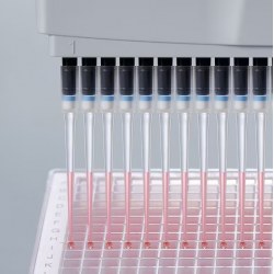 Eppendorf（艾本德）ep Dualfilter TIPS  双滤芯吸头, 无菌级和PCR洁净级, 0.1-10 µL M, 40 mm, 灰色, 960个吸头( 10盒x96个吸头)
