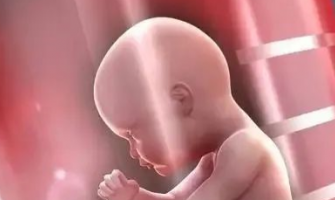 从恒温板看细胞传代研究，科学助孕能否成为生育率突破口？