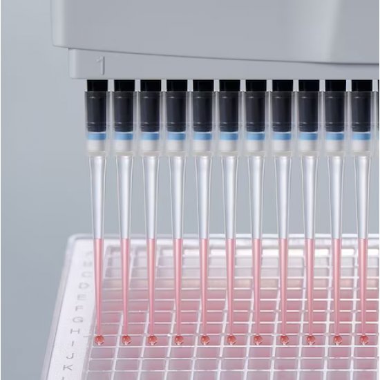 Eppendorf（艾本德）ep Dualfilter TIPS  双滤芯吸头, 无菌级和PCR洁净级, 50-1000 µL, 76 mm, 蓝色, 960个吸头( 10盒x96个吸头)