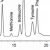 氨基酸衍生法数据大PK：OPA or 茚三酮，原来选它