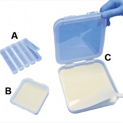 Bel-Art 抗体保存托盘； 塑料，5 通道（⅝ x 4½ 英寸每通道）